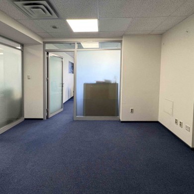 Rent office in the business center with an area of 130 sq m on the 11th floor